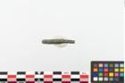 Foto von Bronzearmreif (NHMW-PRAE-023761)